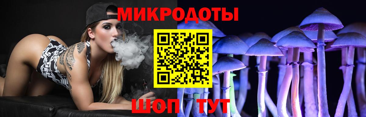 Камышин  Псилоцибиновые грибы Cubensis  купить  цена  Вход с VPN 